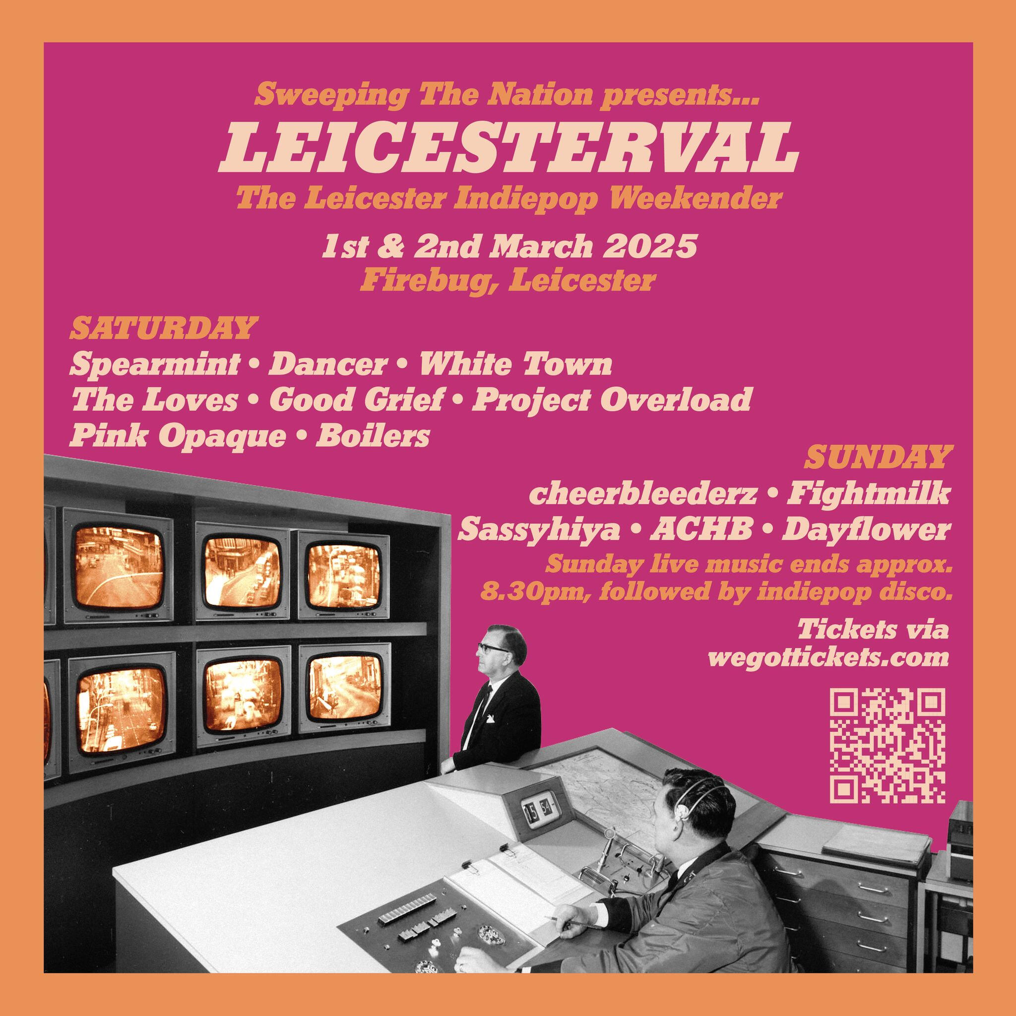 Project Overload playing at the Leicesterval Indiepop Weekender